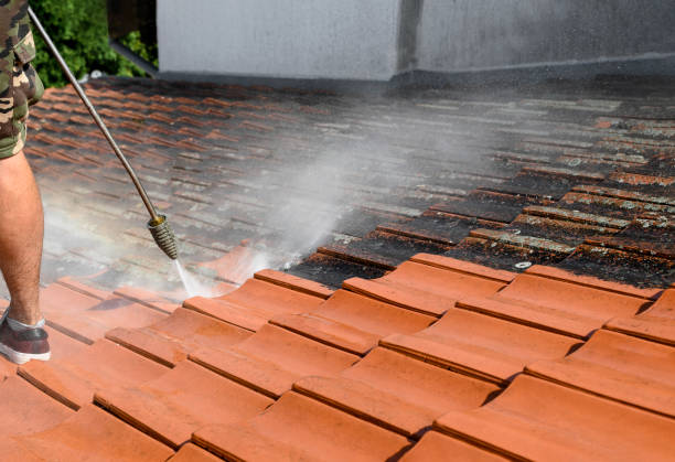 Best Roof Pressure Washing  in Odessa, FL