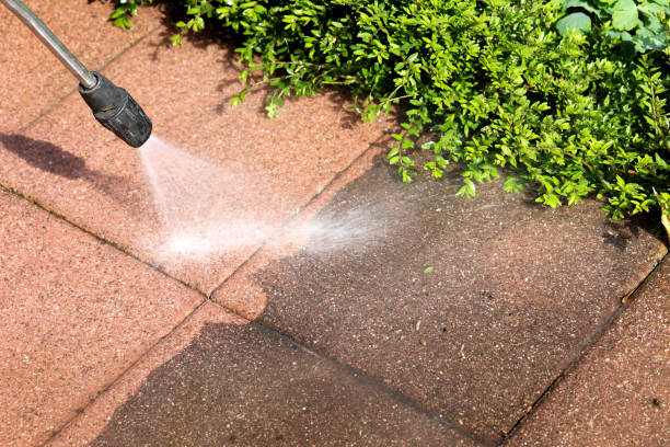 Best Roof Power Washing Services  in Odessa, FL