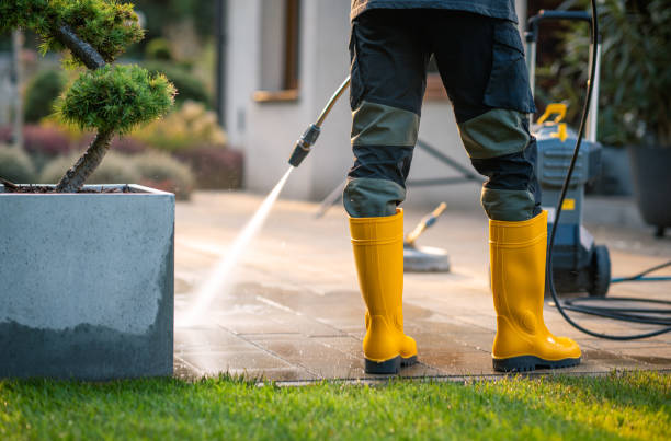 Best Power Washing Near Me  in Odessa, FL